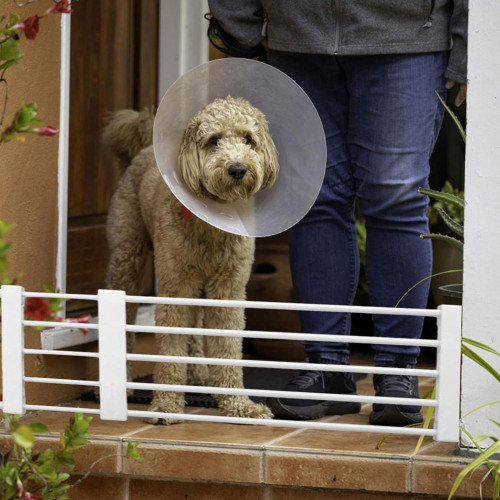 Reja seguridad perros niños retractil largo ajustable