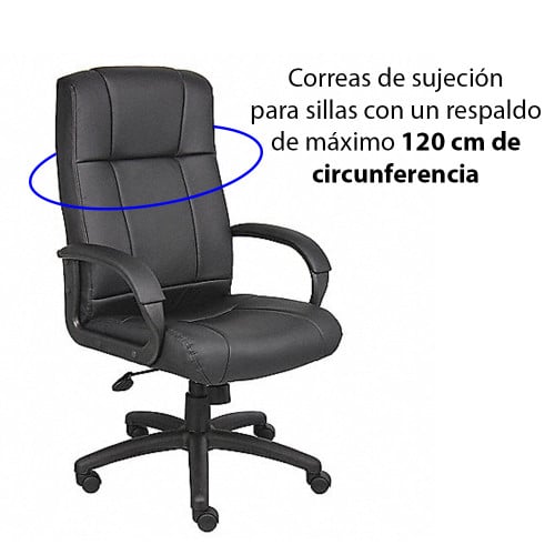 Cojín lumbar Memory Foam Kensington Cojín lumbar Memory Foam Kensington