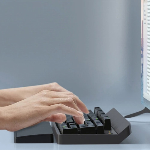 Apoya Muñecas teclado con organizador de escritorio 