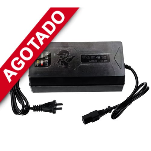 Cargador torito triciclo carro eléctrico 60V 50aH