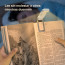 Luz lectura para leer libros cama noche ajustable