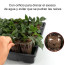 Bandeja Almaciguera germinador semillas MIB-KN100