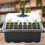 Almaciguera germinador semillas con luz pack 5 bandejas