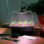 Almaciguera germinador semillas con luz pack 5 bandejas