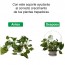 Soporte plantas trepadoras Mariposa Blanca 