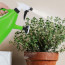 Regadera con pulverizador de agua plantas 1000 ml